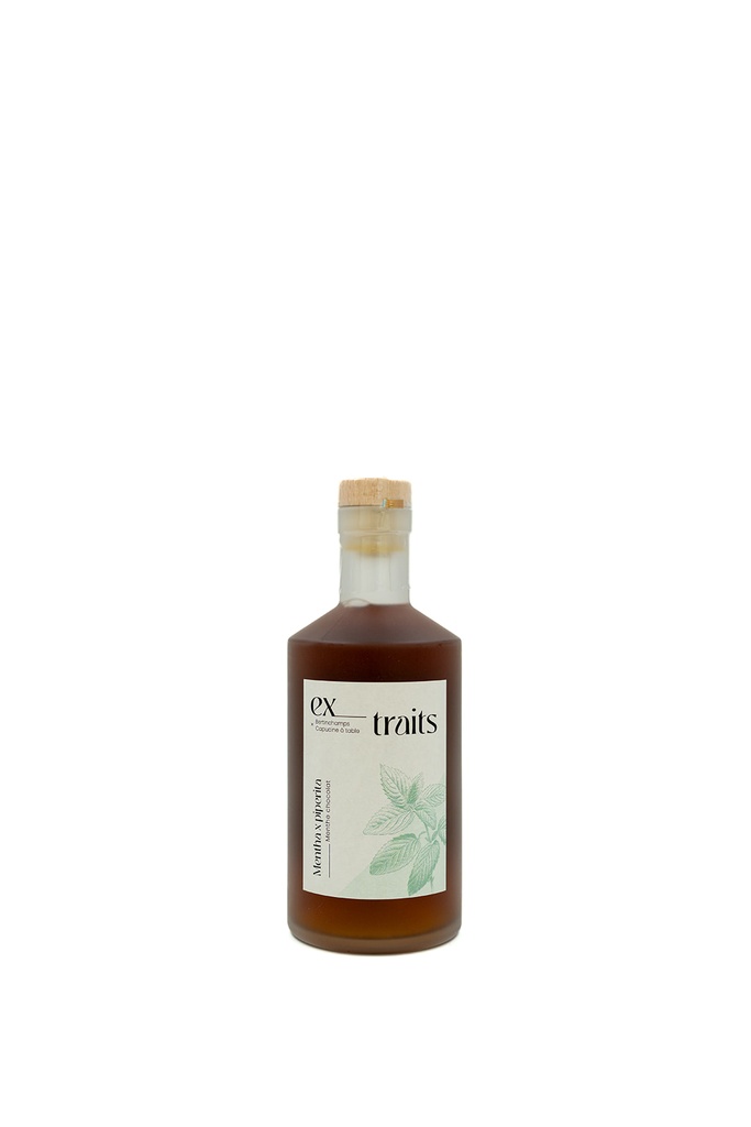 Ex_Traits - Menthe Chocolat - 25%